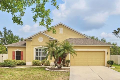 Photo of 3747 Moon Dancer Place, Saint Cloud, FL 34772 (MLS # O6290230)