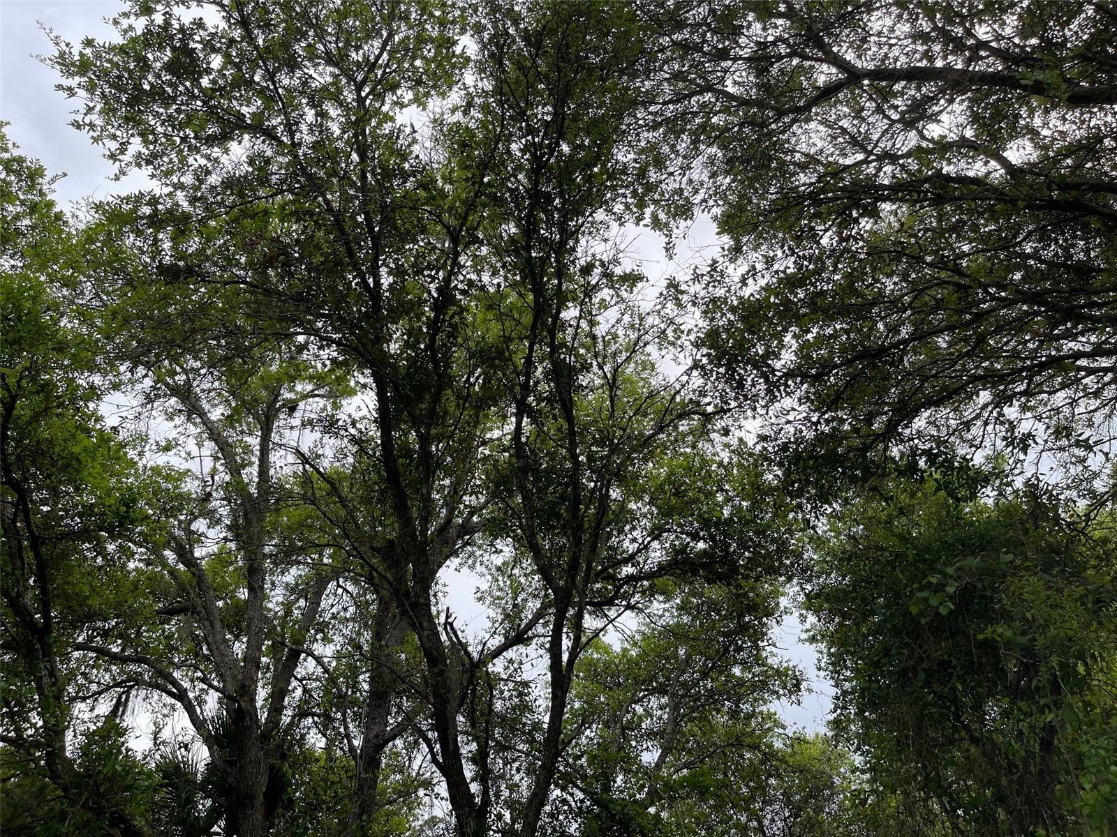 PORT CHARLOTTE SUB 24 - Land