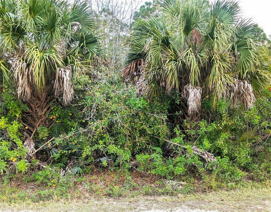 This is a package deal—this property must be sold together with 12885 86th St, Fellsmere, FL 32948 for a total price of $205,000. Fantastic vacant lot with tons of potential! Whether you’re ready to build your dream home or make a smart investment, this property offers a great opportunity. Flexible zoning provides multiple options to explore. Don’t wait—make it yours before someone else does! Information subject to errors and omissions. Buyer to perform due diligence.