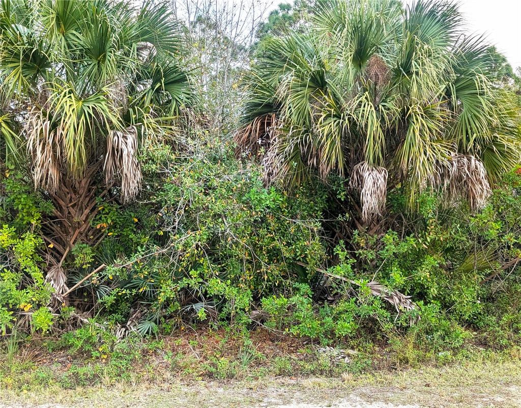 Photo of 12885 86th Street, Fellsmere, FL 32948 (MLS # TB8464220)