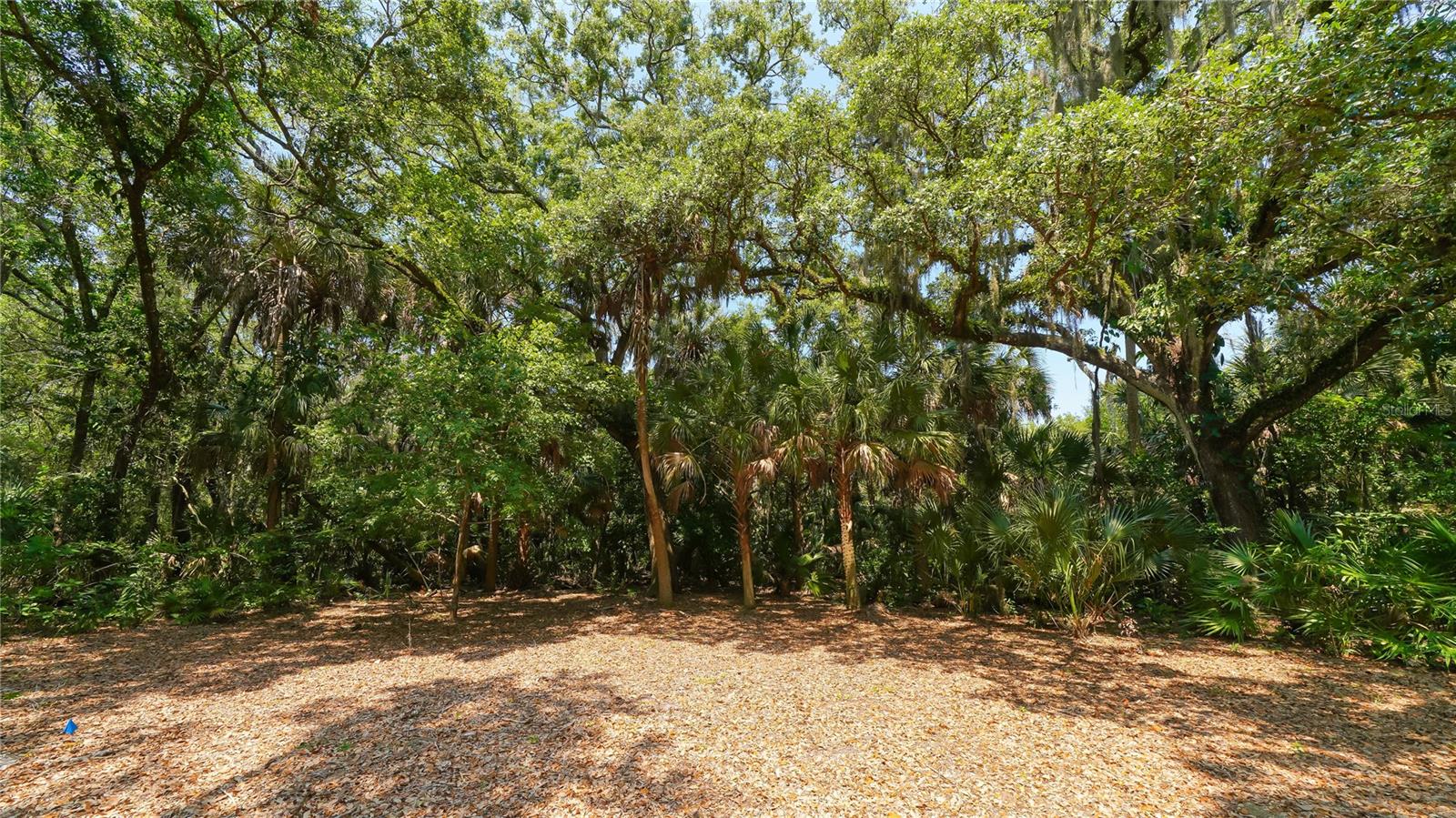 FOXFIRE WEST - Residential