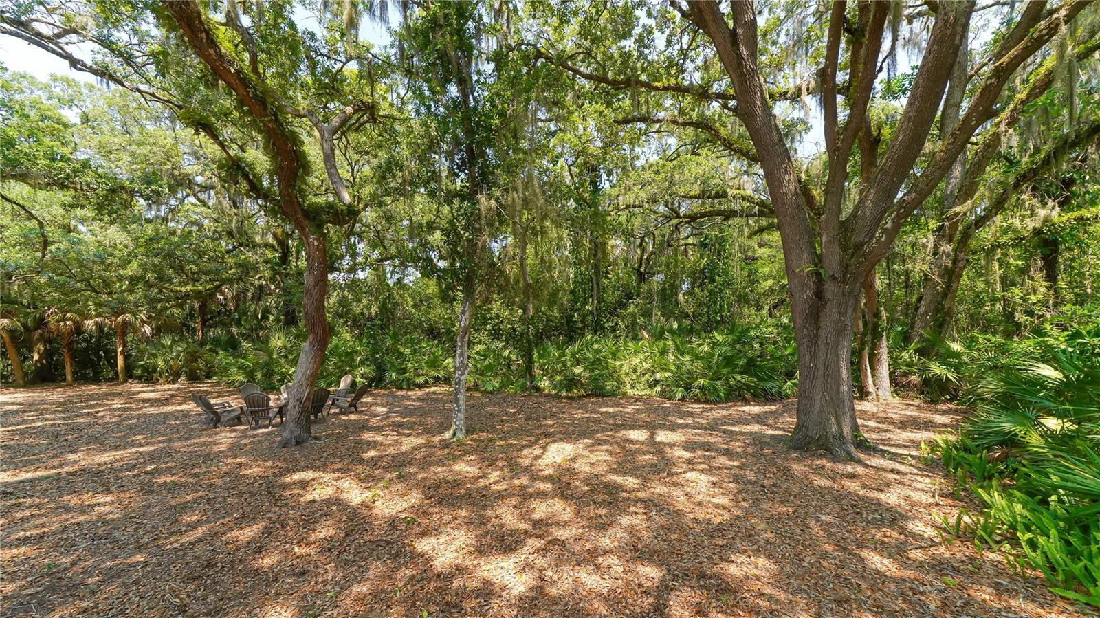 FOXFIRE WEST - Residential