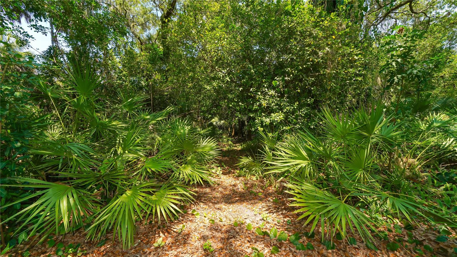 FOXFIRE WEST - Residential