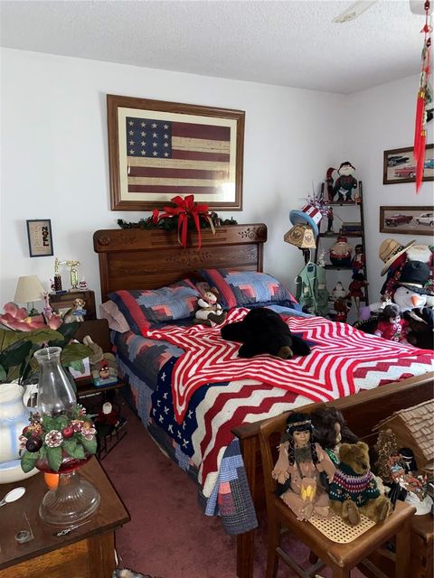 Tiny photo for 1050 Cr 482d, Lake Panasoffkee, FL 33538 (MLS # G5108879)