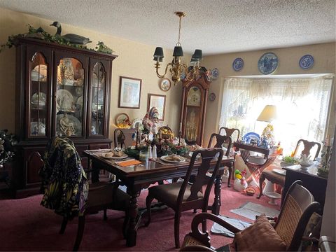 Tiny photo for 1050 Cr 482d, Lake Panasoffkee, FL 33538 (MLS # G5108879)