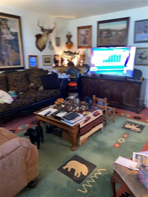 Tiny photo for 1050 Cr 482d, Lake Panasoffkee, FL 33538 (MLS # G5108879)