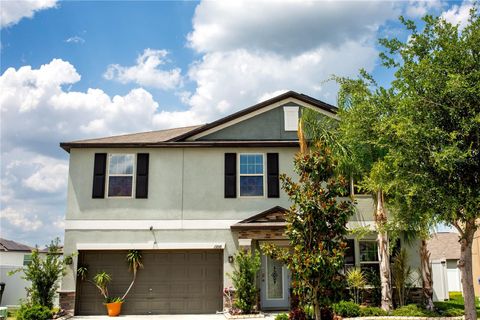 A home in RIVERVIEW