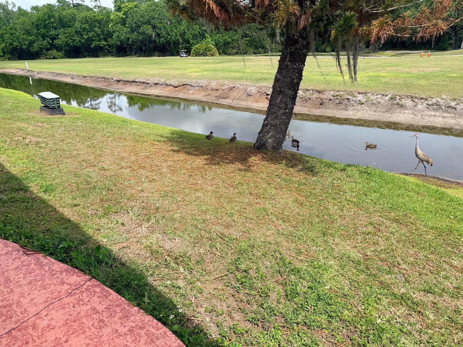 FAIRWAYS COUNTRY CLUB - Residential