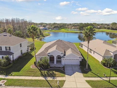 A home in WESLEY CHAPEL