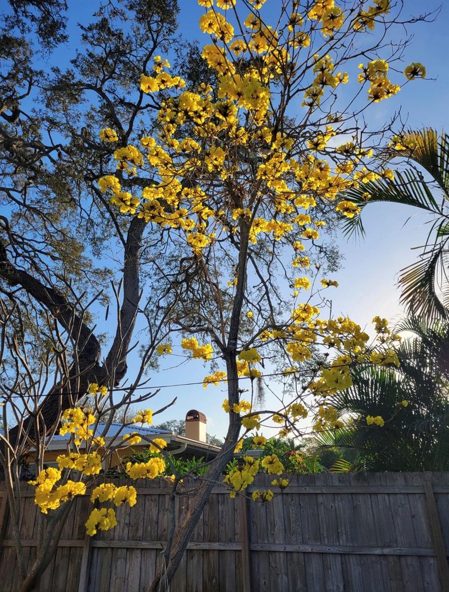 HARBOR BLUFFS SEC 2 UNIT B REP - Residential