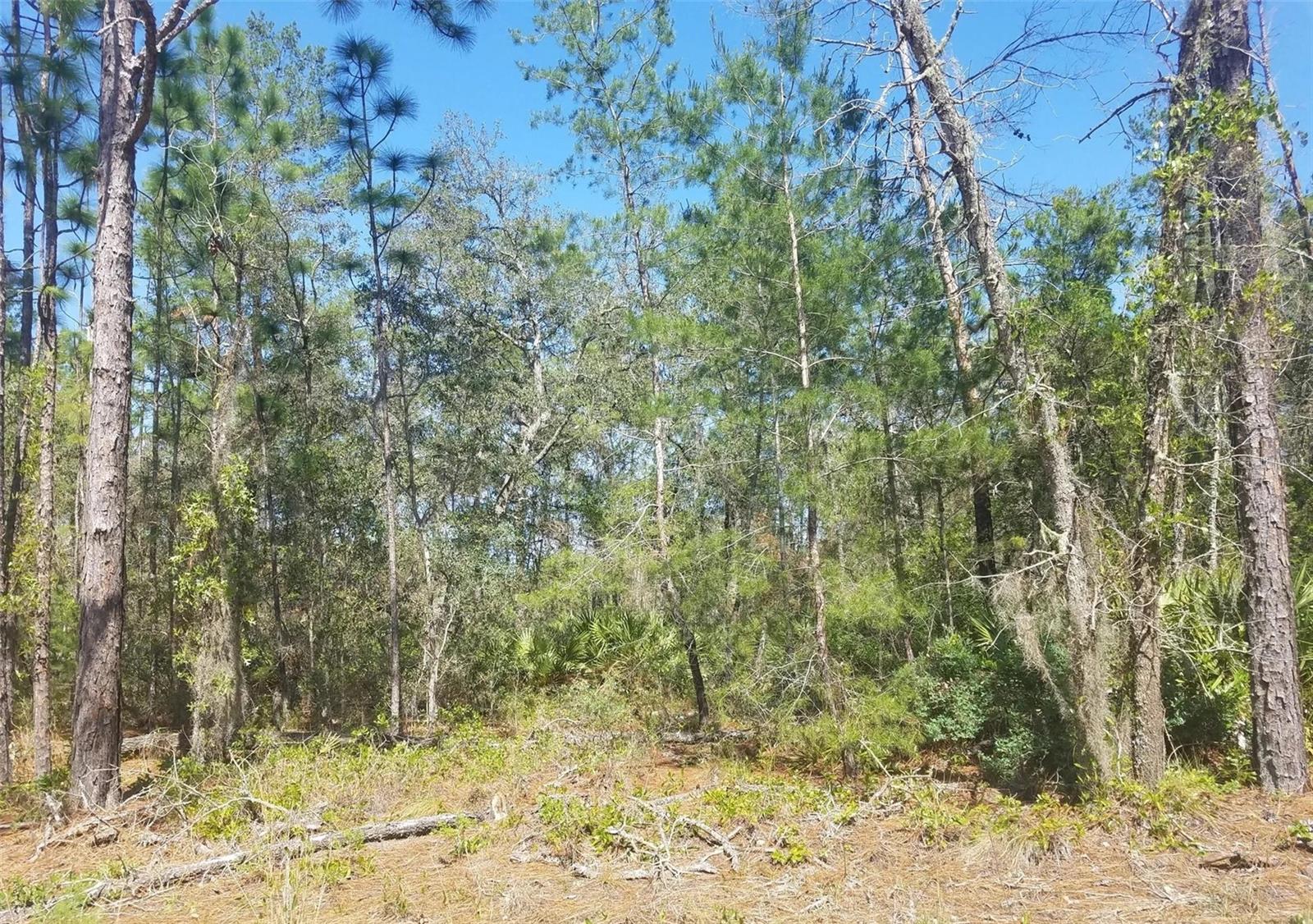 INTERLACHEN LAKES ESTATES UNIT #16