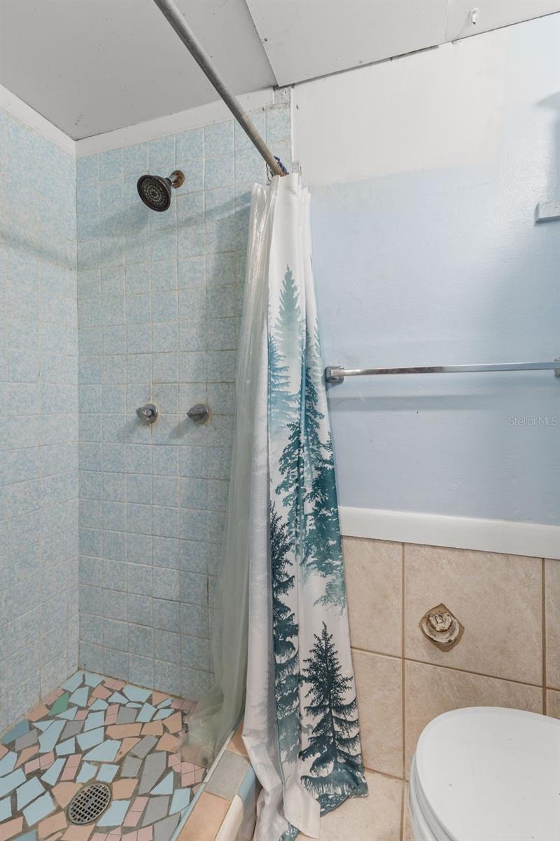 TEMPLE TERRACE - Residential