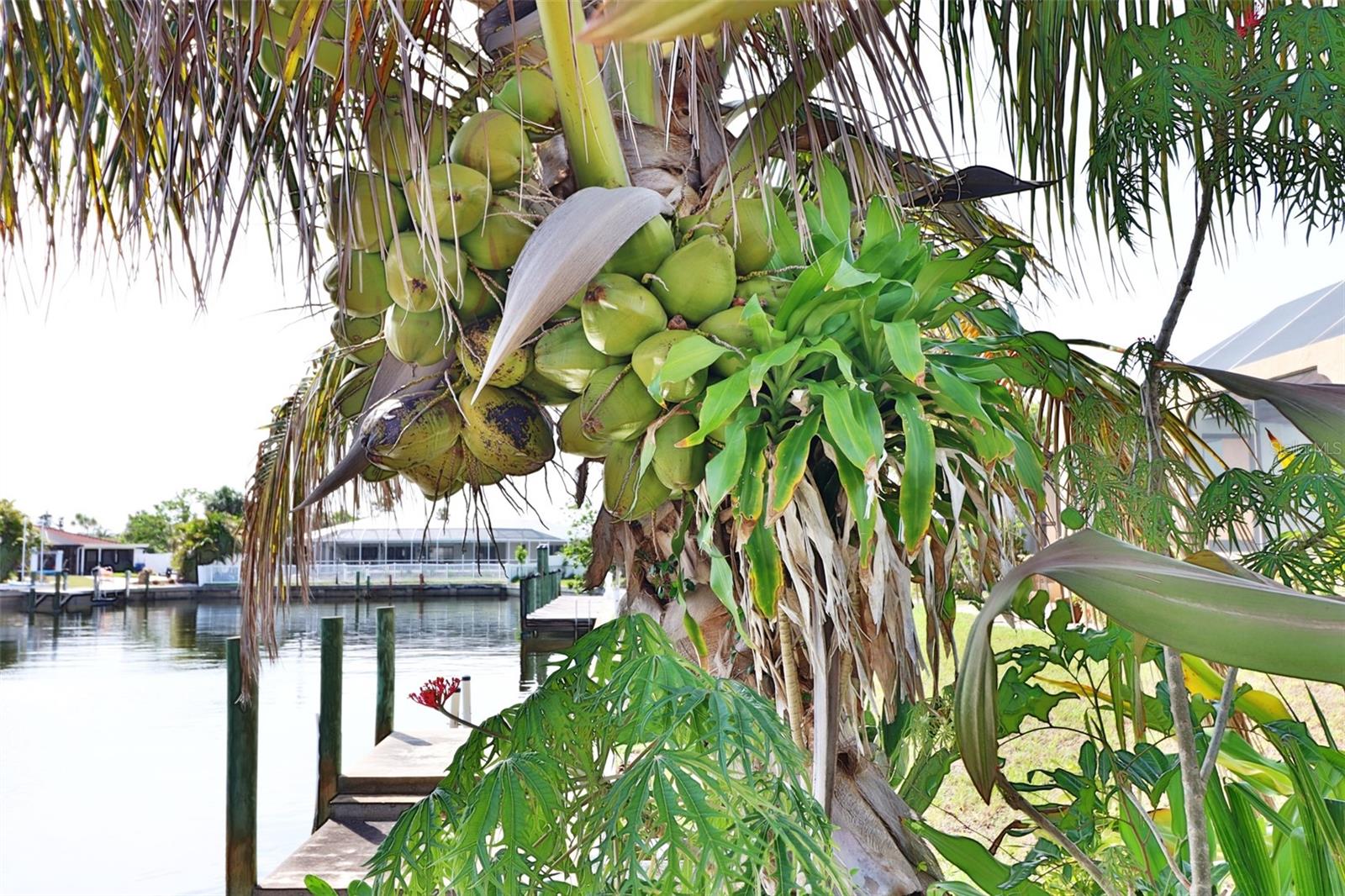 PORT CHARLOTTE SEC 043 - Residential