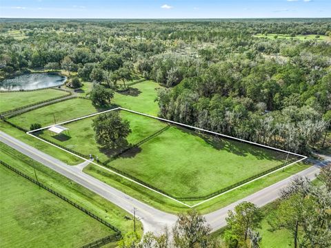 14440 NW HIGHWAY 225A REDDICK FL 32686