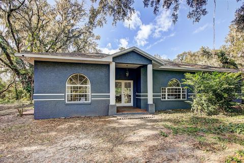 A home in PLANT CITY