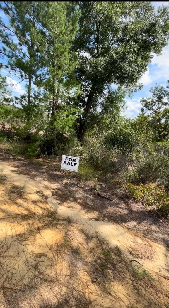 lot 25 BIRCH AVENUE