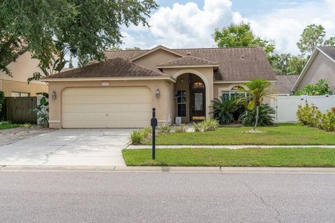 A home in TAMPA