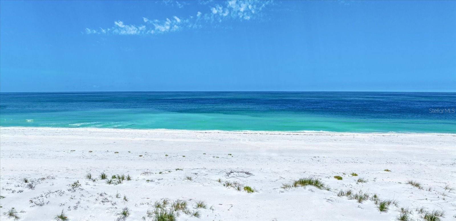 COVE AT INDIAN ROCKS BEACH - Residential