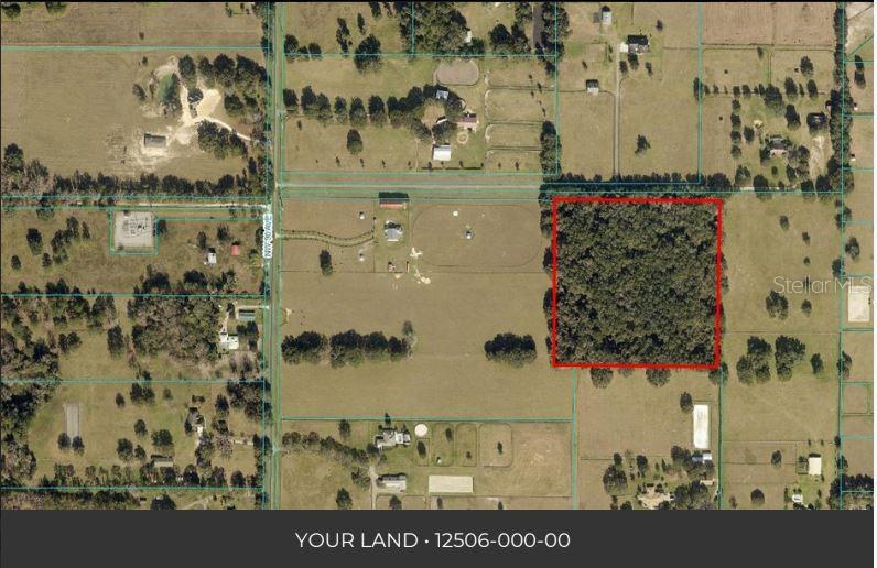 Tucked away on a quiet, beautifully canopied street in the heart of Ocala’s beautiful NW horse country, this 13+ acre property offers the perfect blank canvas to create your dream farm. Located in a highly desirable area of Marion County, you’ll be surrounded by stunning horse farms and top-tier training and competition facilities, just 9 miles from both the World Equestrian Center and HITS. Whether you're envisioning a private training operation, peaceful countryside retreat, or world-class equestrian facility, this property provides the flexibility to build exactly what you need. With no HOA and no flood zone (the current Marion County Flood Map), you can bring your horses, cows, RV, or boat without restriction. This is prime horse country, an ideal spot to build your dream home or farm in one of Ocala’s most sought-after equestrian areas. Notes: The property has no record legal easement