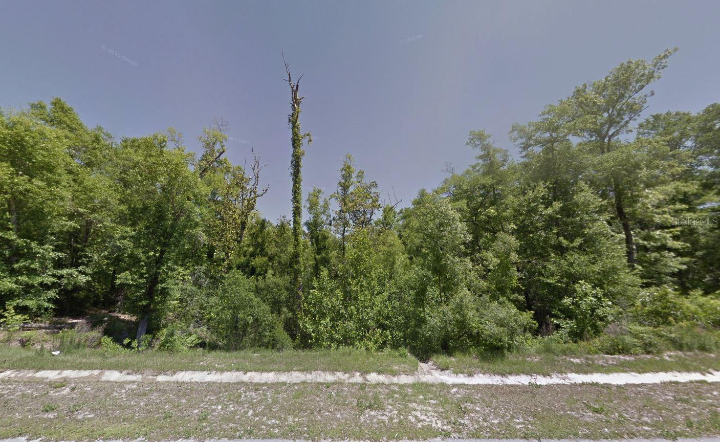 Build your dream home in the desirable Cedar Creek Phase 1 community! This 0.68-acre vacant lot provides plenty of space for your ideal home design while offering a peaceful neighborhood setting. Enjoy the balance of privacy and convenience with close proximity to schools, shopping, dining, and the beautiful Gulf Coast beaches. Whether for a primary residence or future investment, this property is an excellent opportunity in one of Bay County’s sought-after communities.