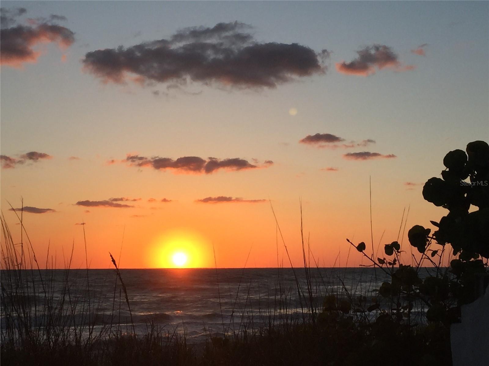 BOCA GRANDE - Residential