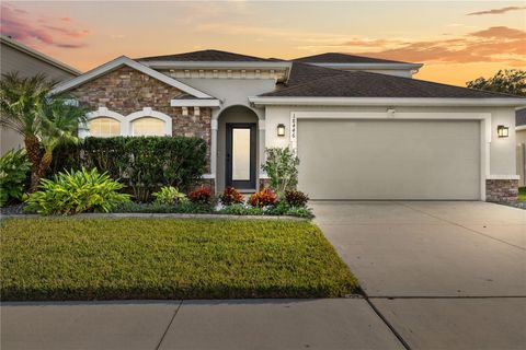 Photo of 18446 Hunters Meadow Walk, Land O Lakes, FL 34638 (MLS # TB8452024)
