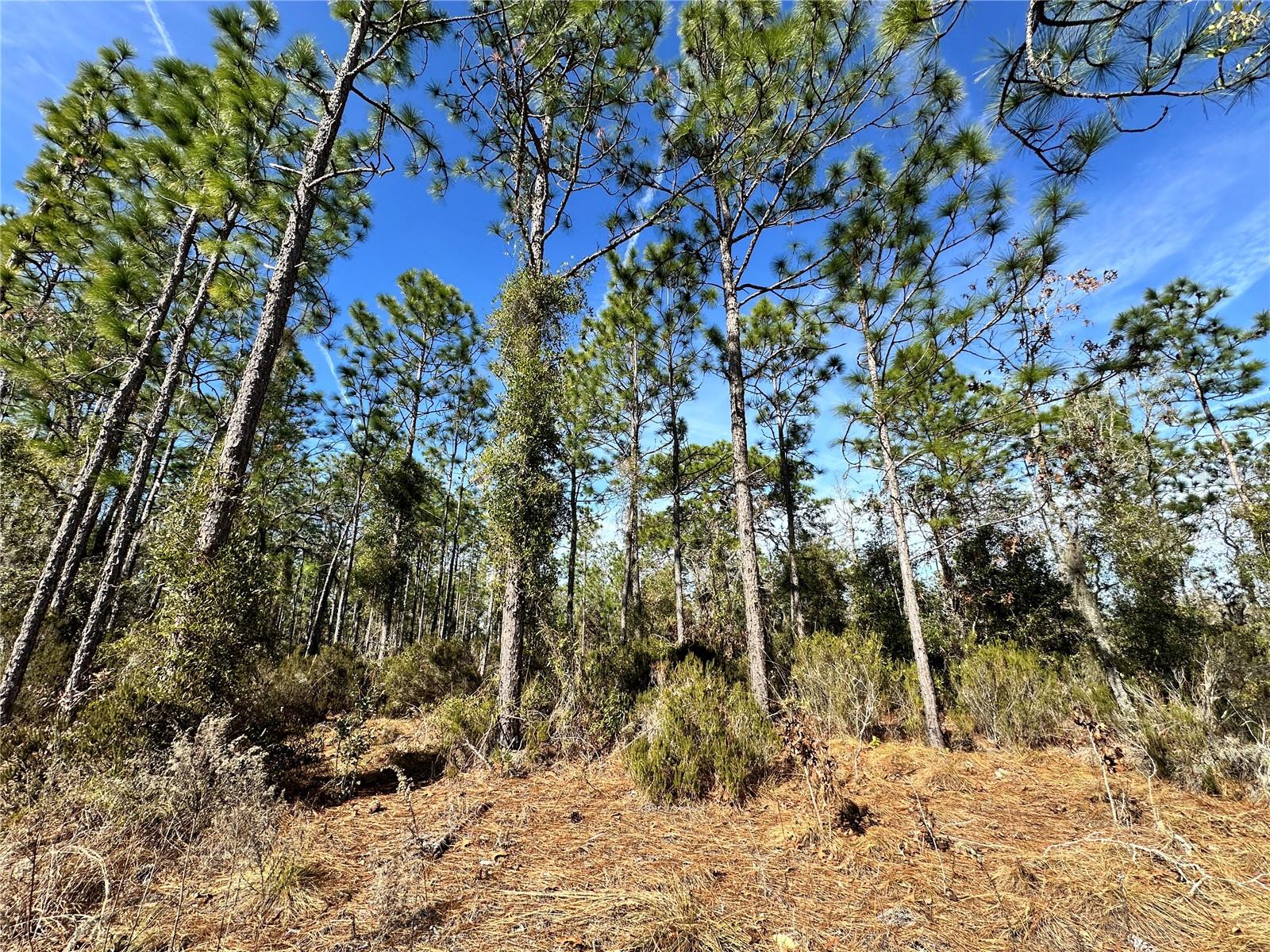 WILLISTON HIGHLANDS UNIT 14 - Land