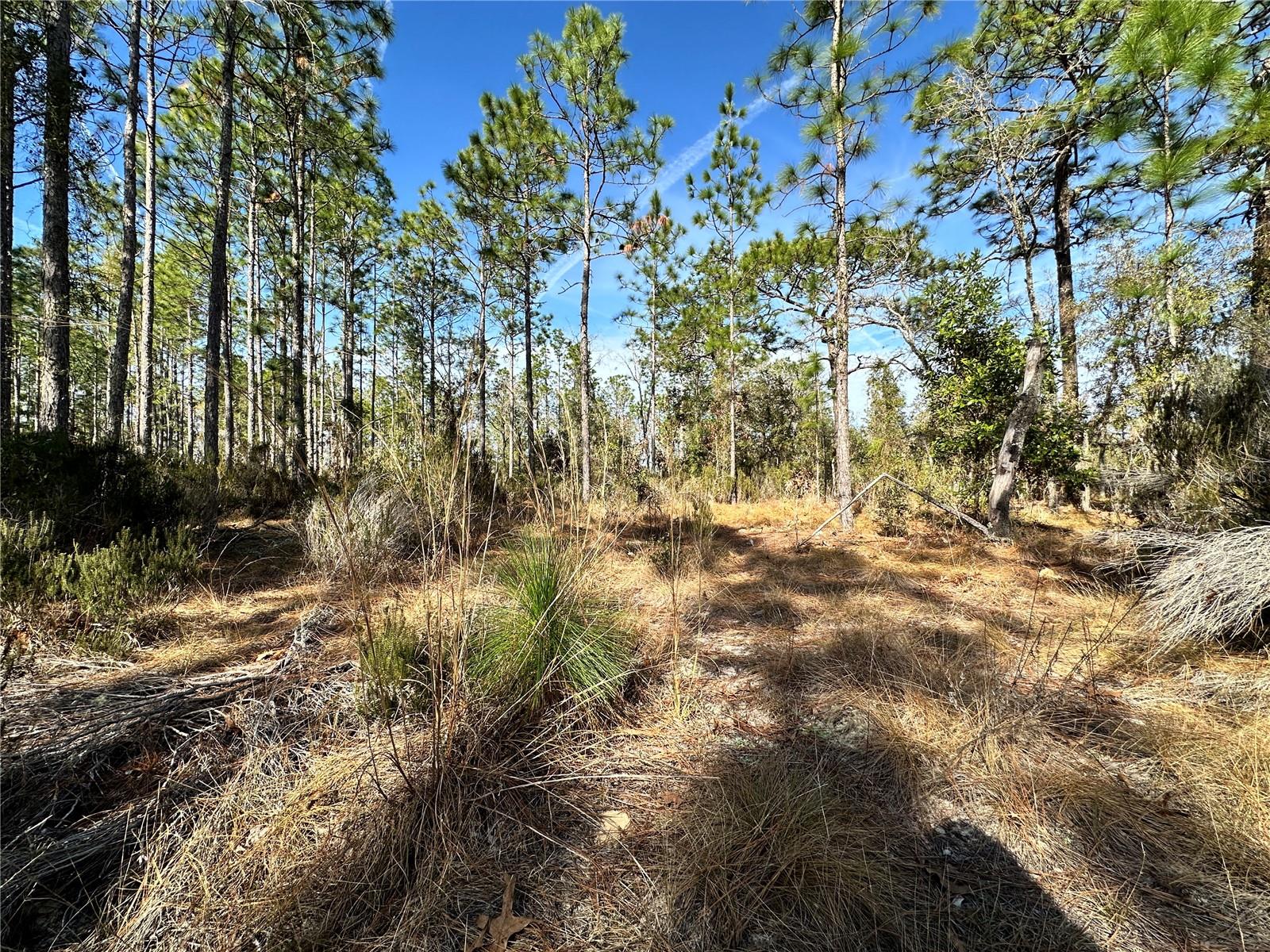 WILLISTON HIGHLANDS UNIT 14 - Land