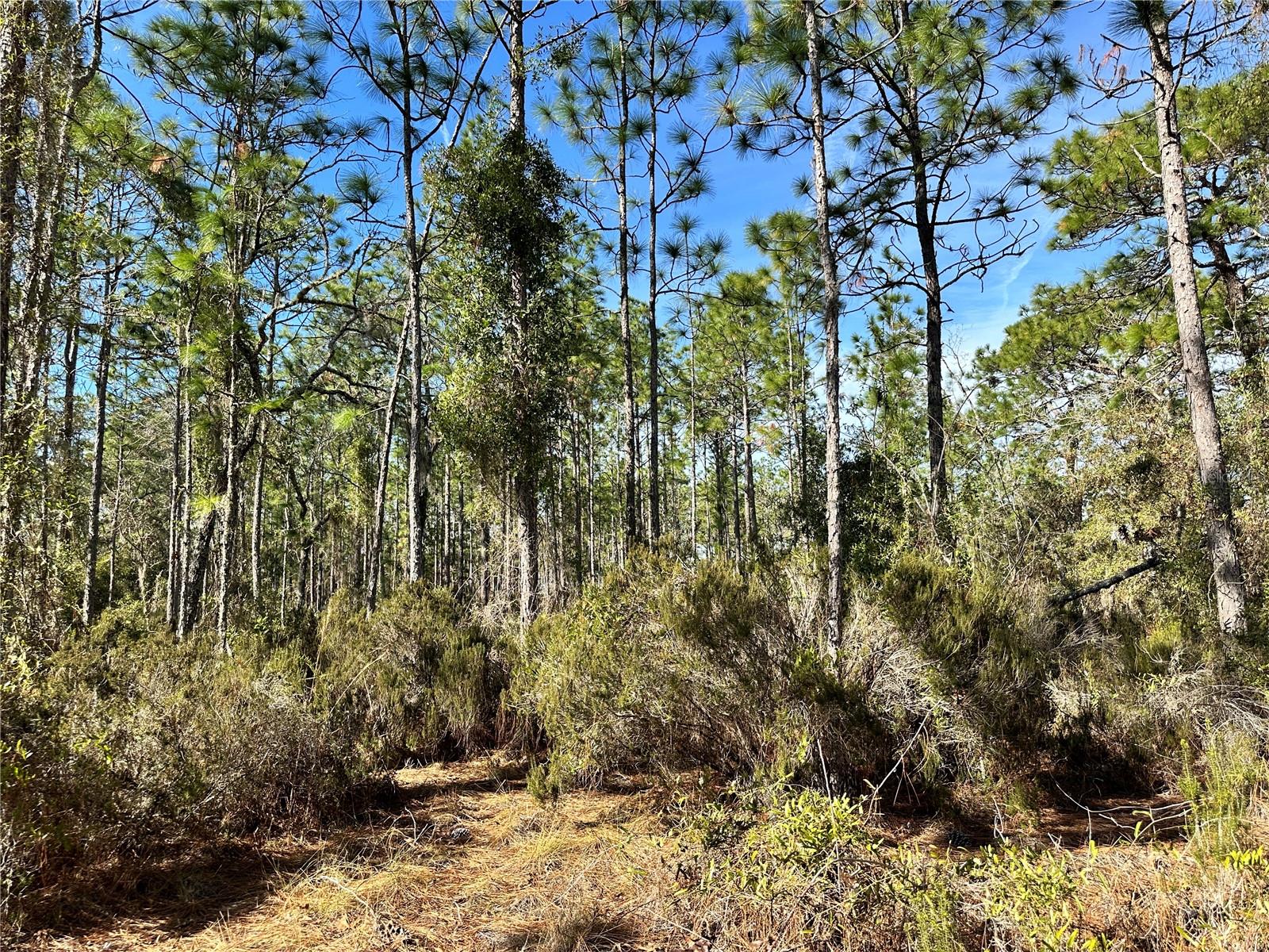 WILLISTON HIGHLANDS UNIT 14 - Land