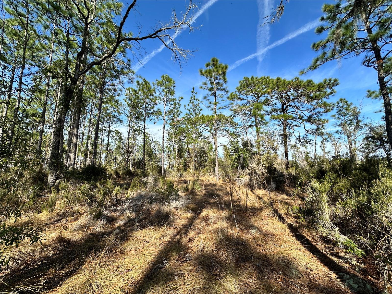 WILLISTON HIGHLANDS UNIT 14 - Land