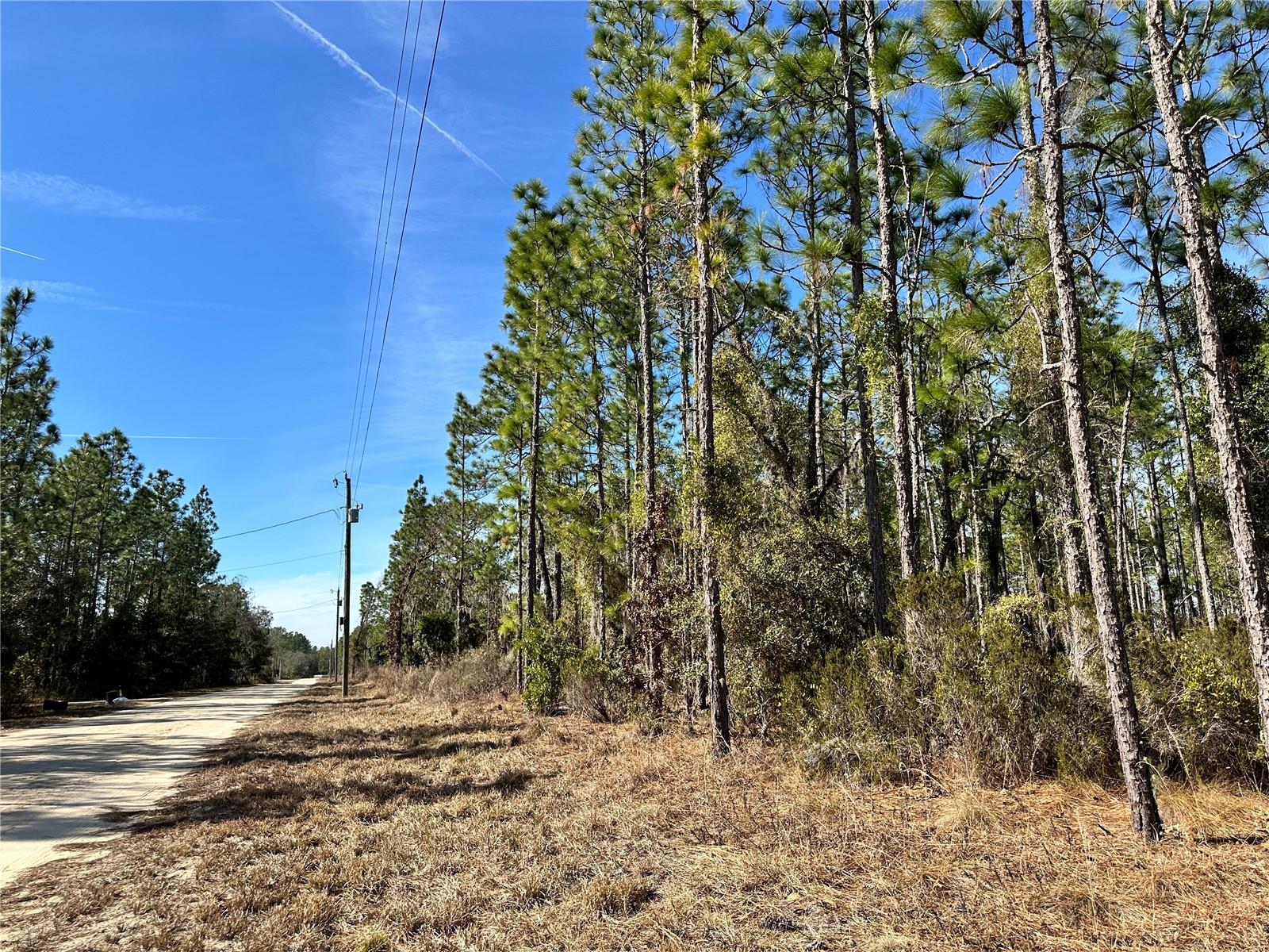 WILLISTON HIGHLANDS UNIT 14 - Land