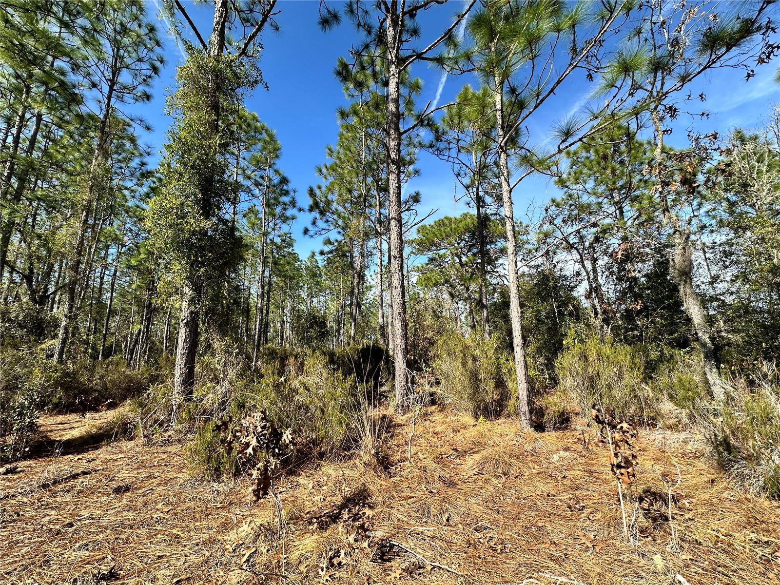 WILLISTON HIGHLANDS UNIT 14 - Land