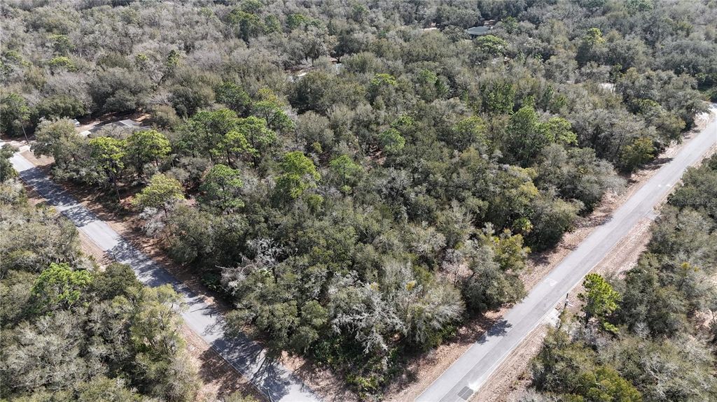 Photo of 12786 W Cornflower Drive, Crystal River, FL 34428 (MLS # OM719295)