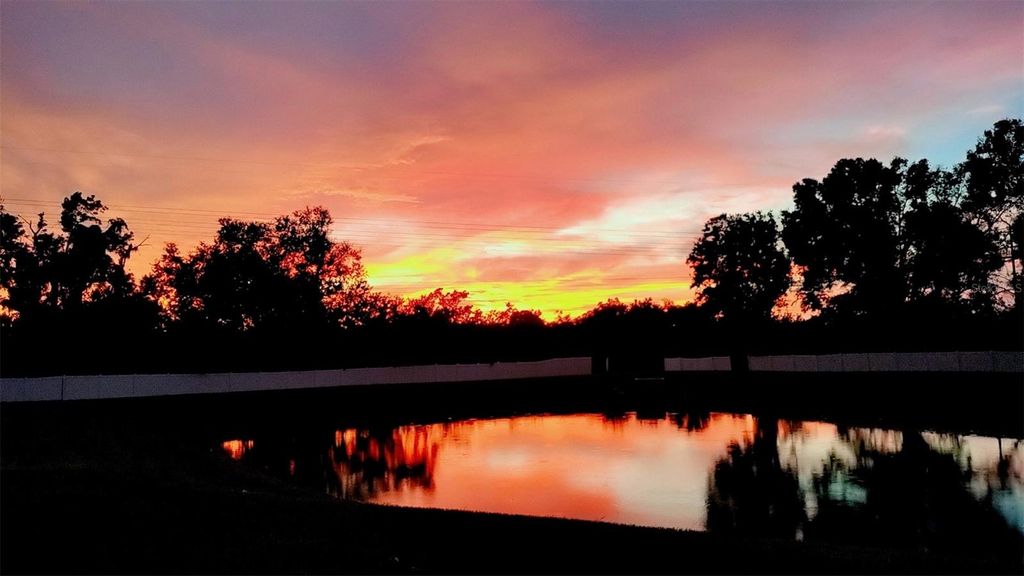 Photo of 921 Fennel Seed Way, Ruskin, FL 33570 (MLS # TB8445147)