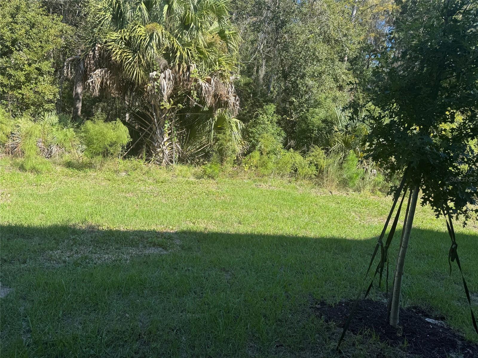 BRIDGEWATER - Residential