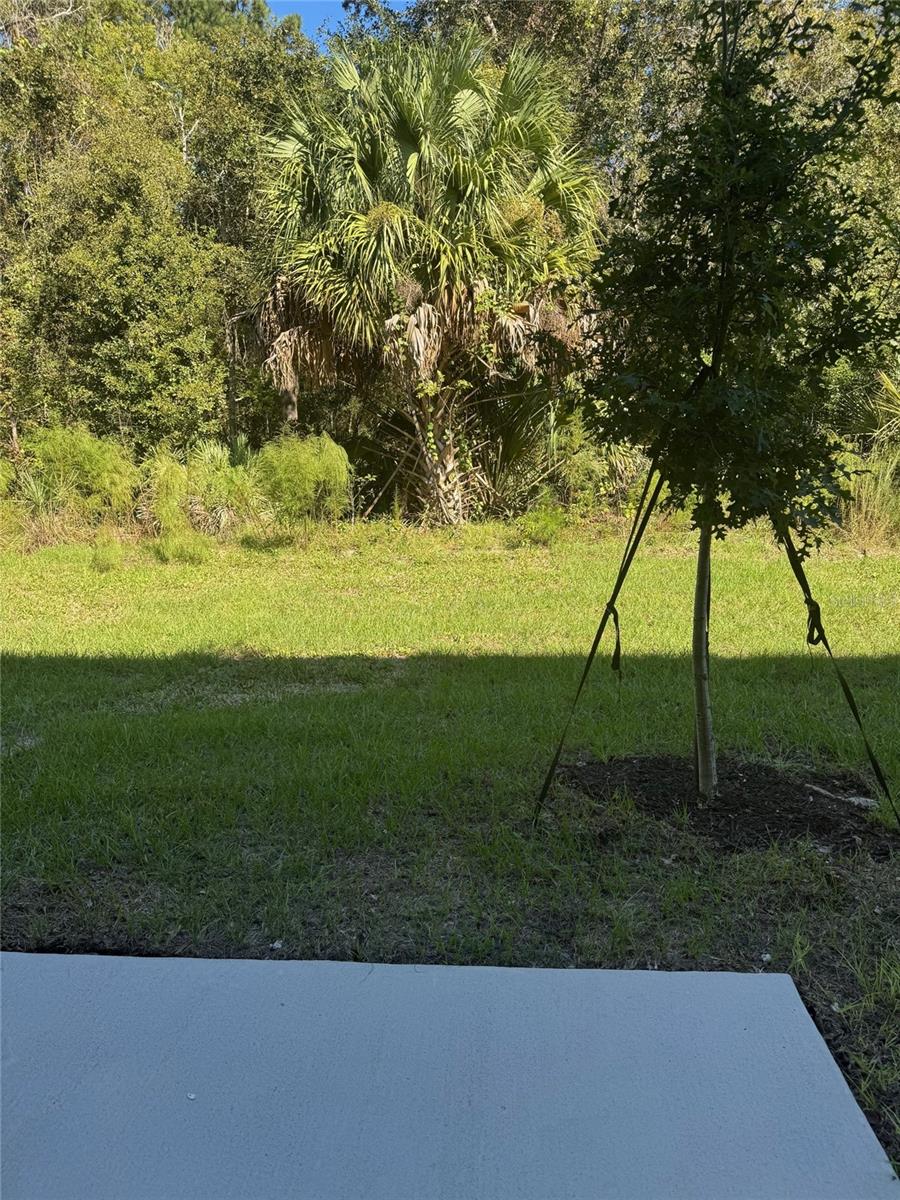 BRIDGEWATER - Residential