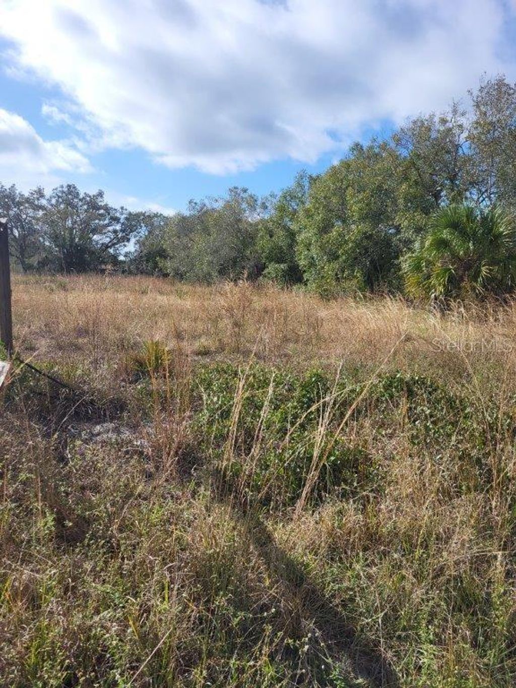 Photo of 26700 State Rd 70 E, Myakka City, FL 34251 (MLS # A4642840)