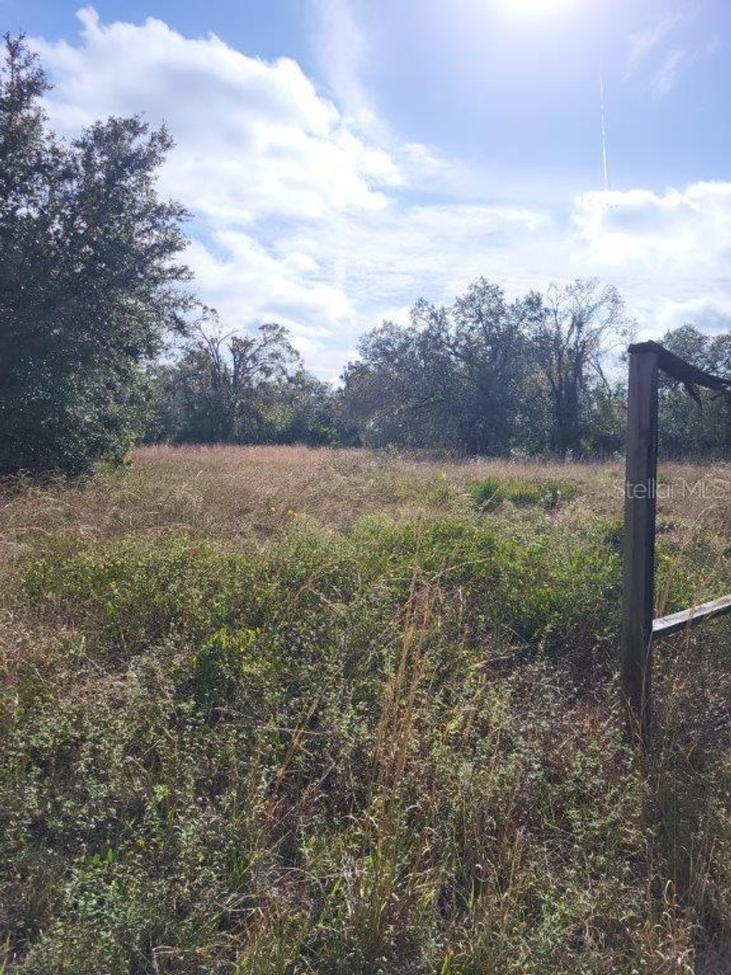 Photo of 26700 State Rd 70 E, Myakka City, FL 34251 (MLS # A4642840)