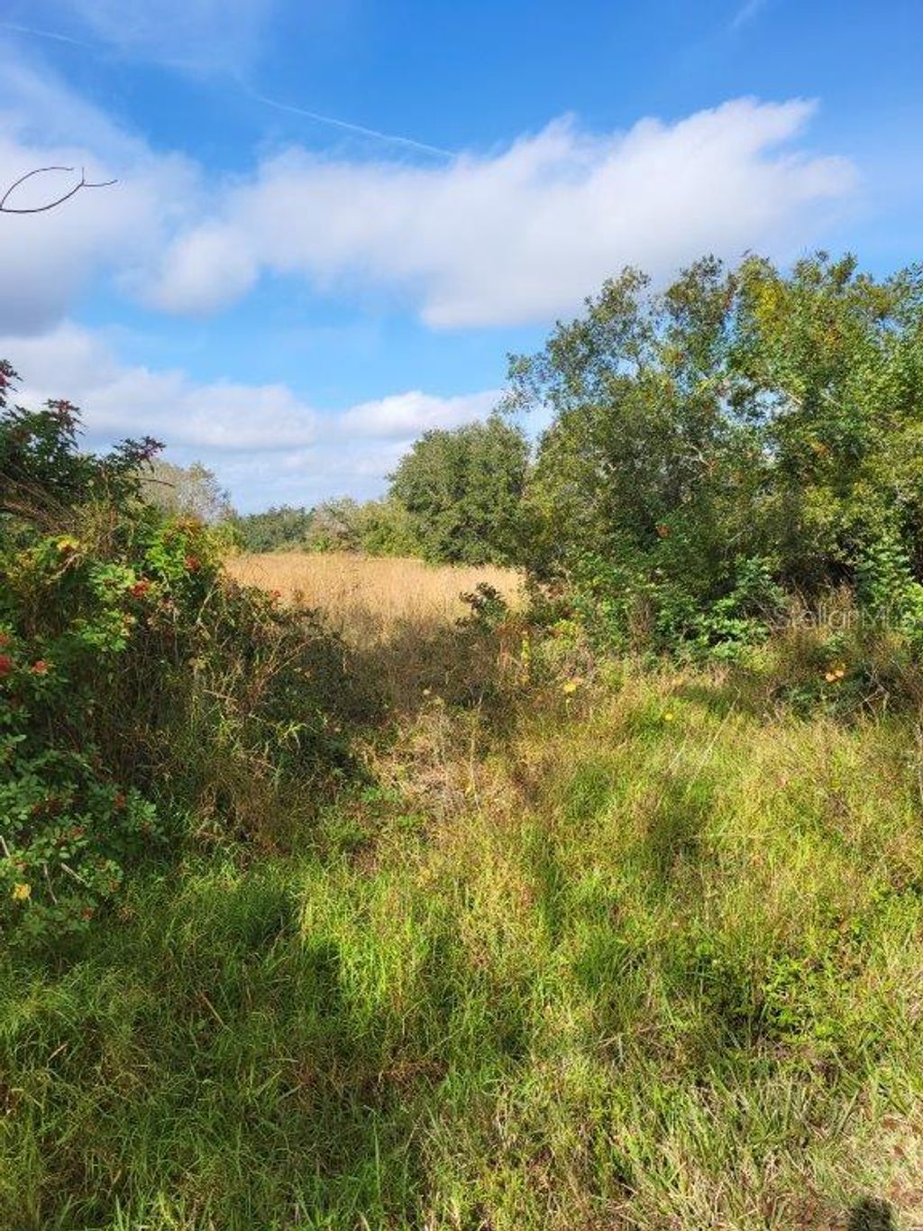 Photo of 26700 State Rd 70 E, Myakka City, FL 34251 (MLS # A4642840)