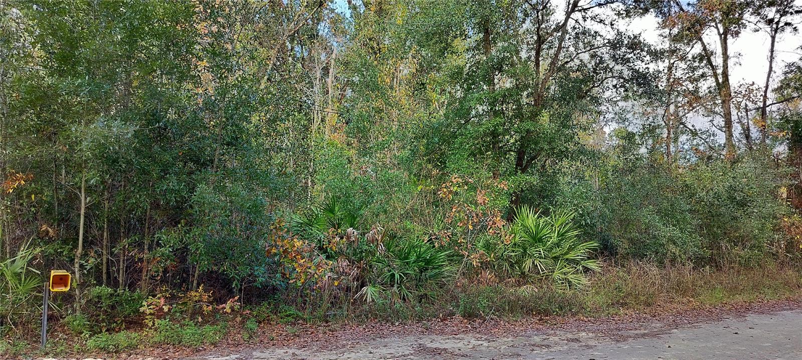 .46 Acres Wooded Home-Site on a cul-de sac road. Mobile Homes are allowed.