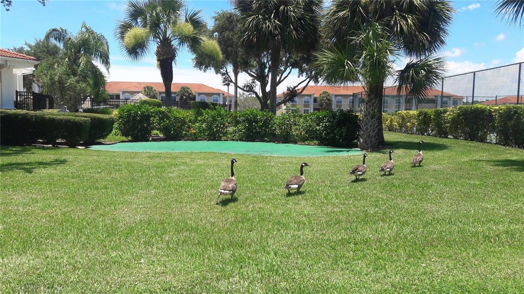 VILLAGIO - Residential Lease