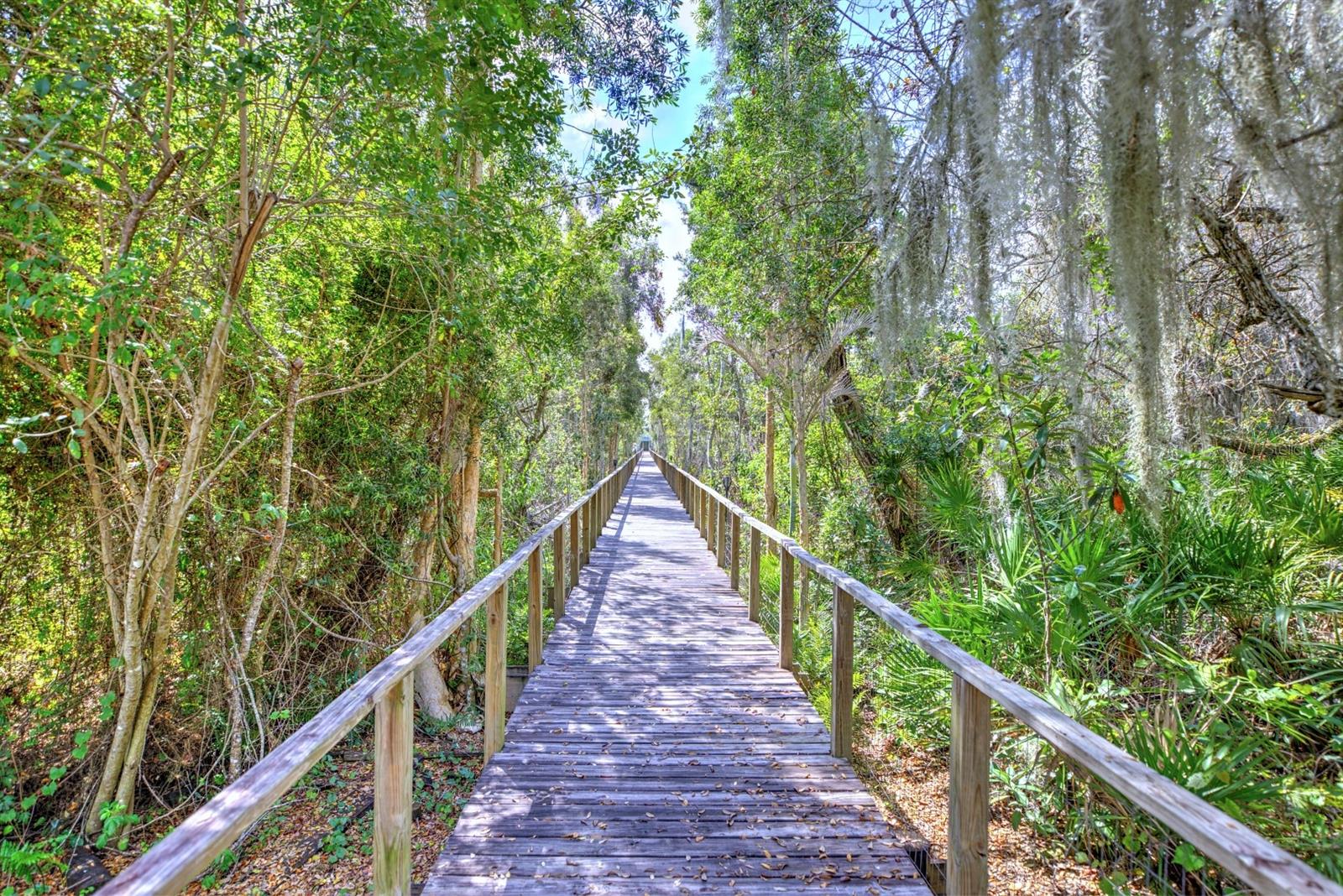 CHILDS BAY - Residential