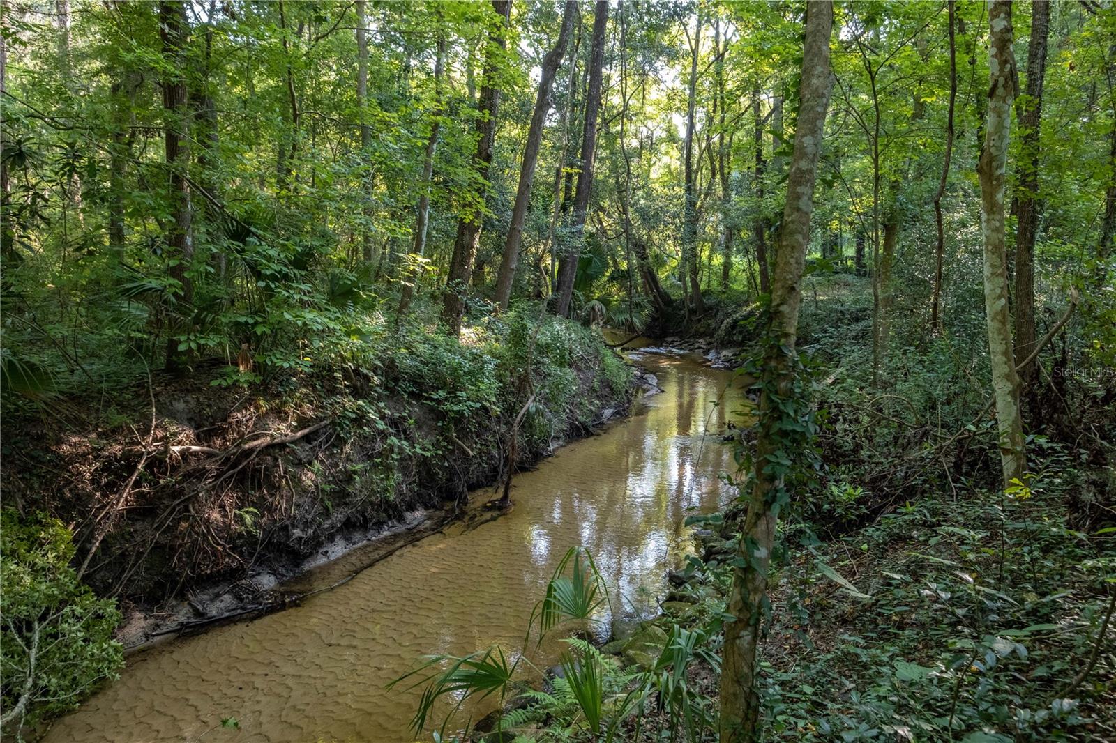 SNOW SUB - Residential