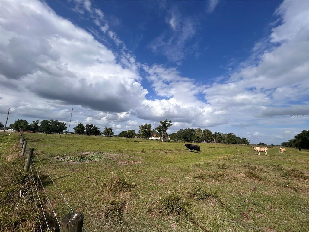 Photo of Washington Street, Arcadia, FL 34266 (MLS # A4687825)