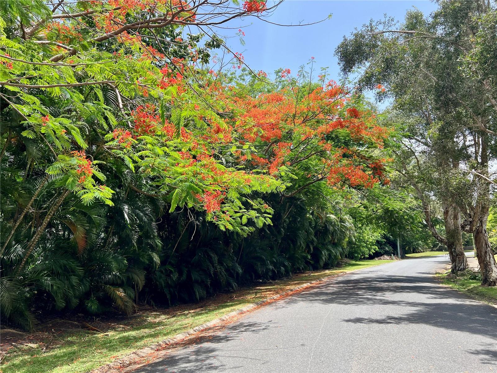 GRAN VISTA II - Residential