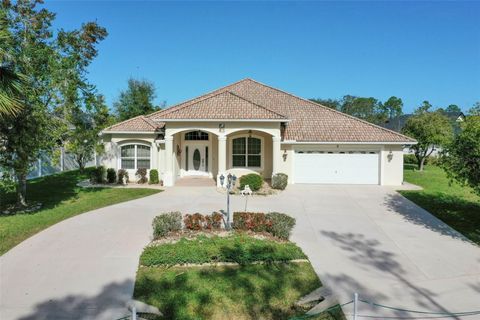 A home in PALM COAST