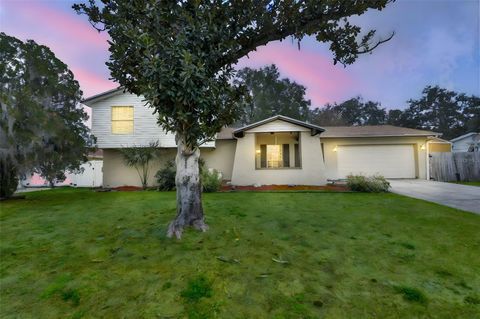 3806 PINEDALE STREET BRANDON FL 33511