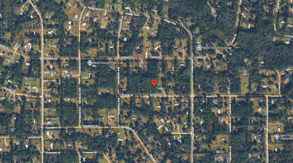 Photo of 4818 Acacia Street, Middleburg, FL 32068 (MLS # K4903756)