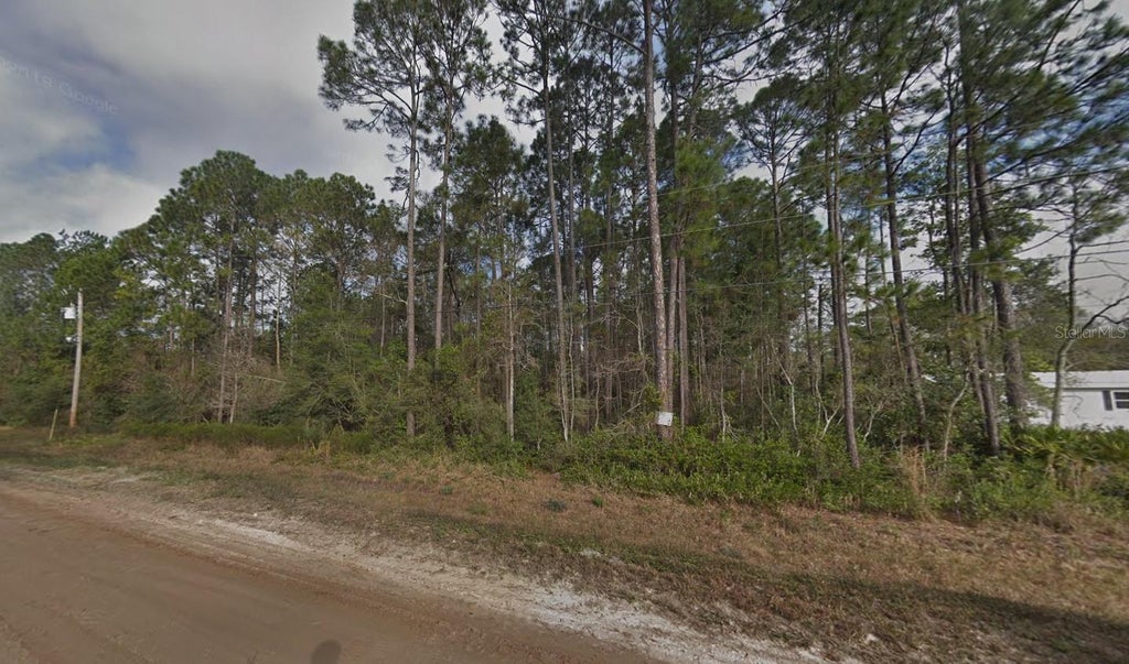 Photo of 4818 Acacia Street, Middleburg, FL 32068 (MLS # K4903756)