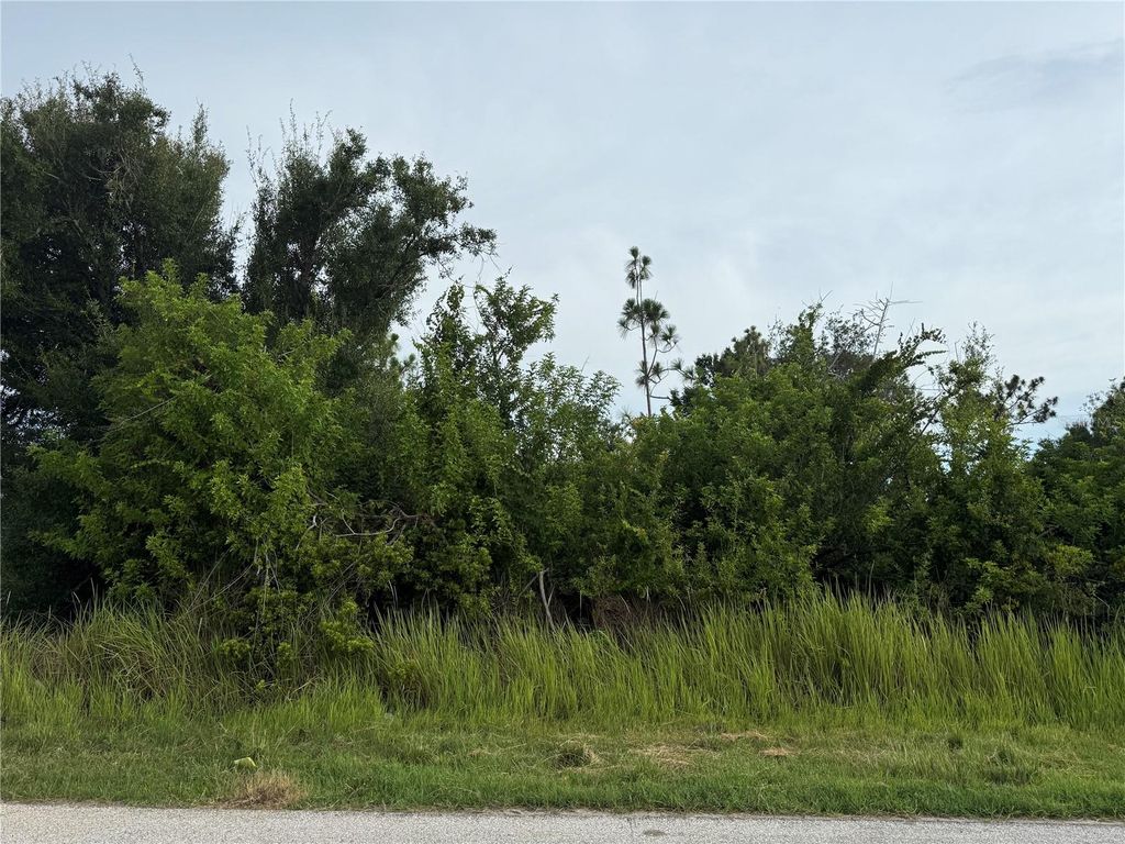 Photo of 9491 Tacoma Avenue, Englewood, FL 34224 (MLS # D6143050)